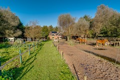 Peppelmansdijk 12, 7011 JL Gaanderen - Peppelmansdijk 12 te Gaanderen-13.jpg